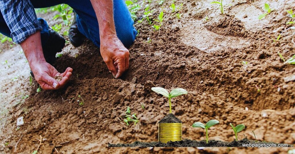 You can grow Money Plants in Soil or Water. Follow these tips for Kitchen Gardening