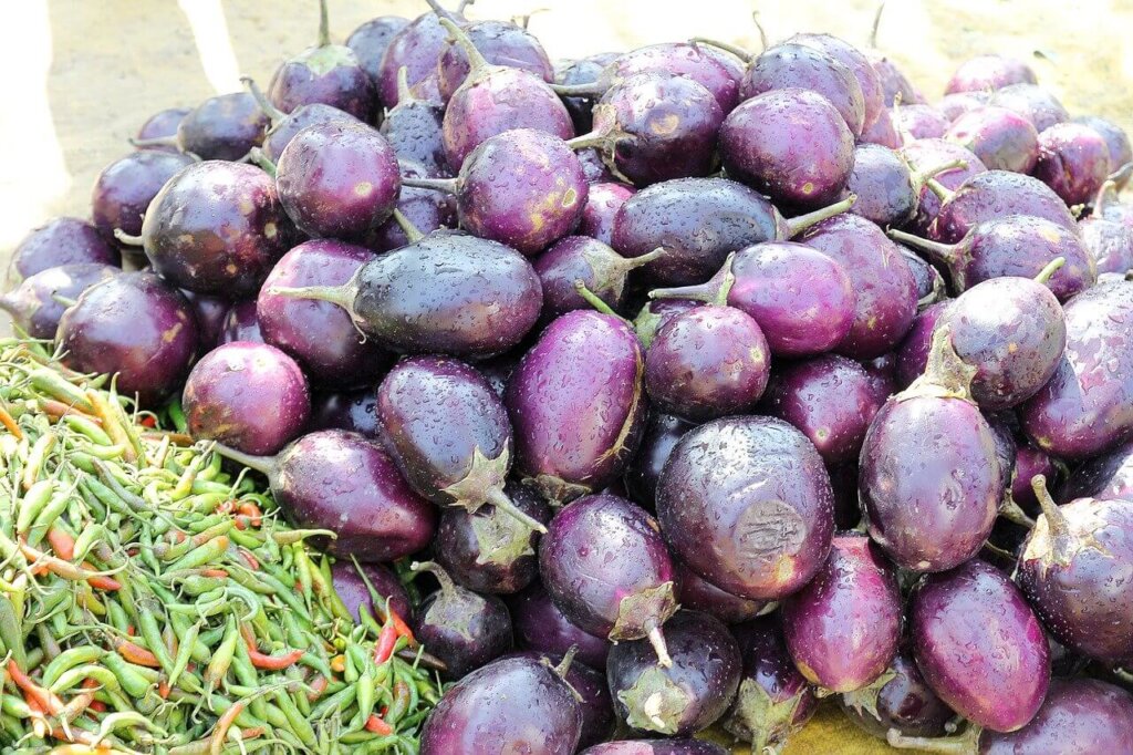 Brinjal also keeps memory intact, know the benefits