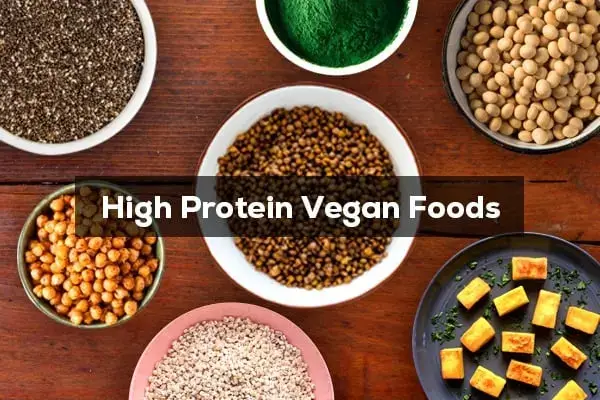 Best vegan meal replacement, high protein vegan foods for every occasion!