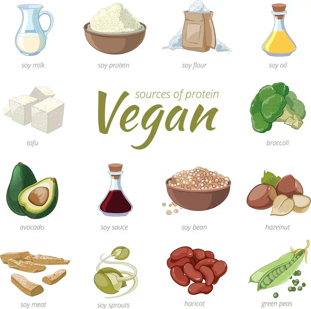 Vegan foods, sources of protein!