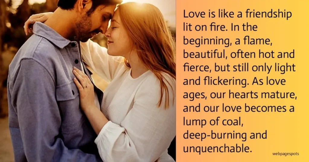Relationship Quote, love is like a friendship lit on fire