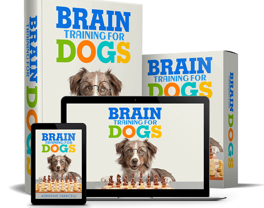 It is Called...Brain Training for Dogs! Join now.